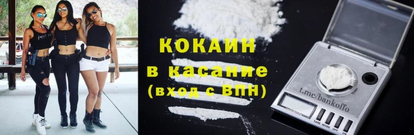 хмурый Абаза