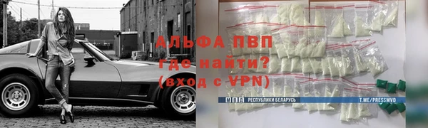 хмурый Абаза