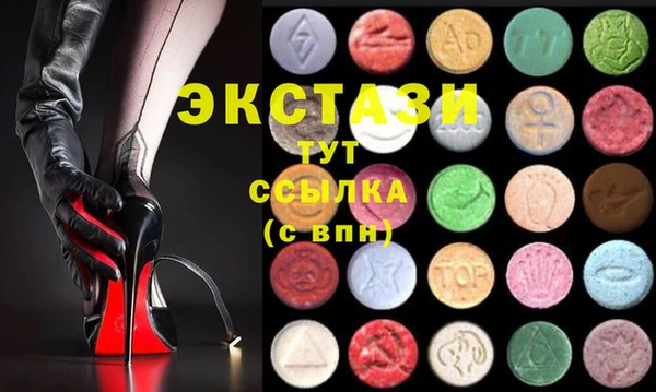 хмурый Абаза