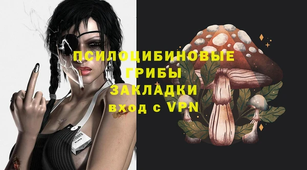 хмурый Абаза