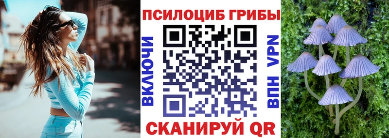 Псилоцибиновые грибы GOLDEN TEACHER  Стерлитамак 